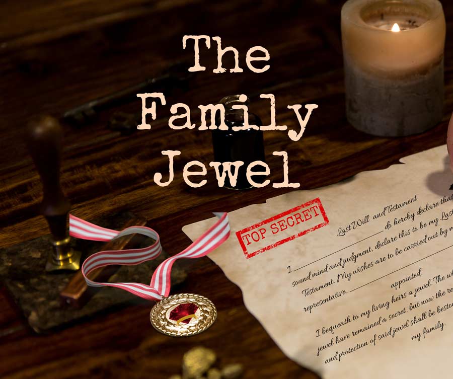 The-Family-Jewels-NMER